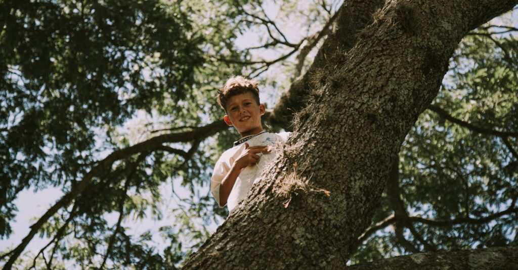 キャンプ場のツリークライミングで木に登って楽しむ子供の姿