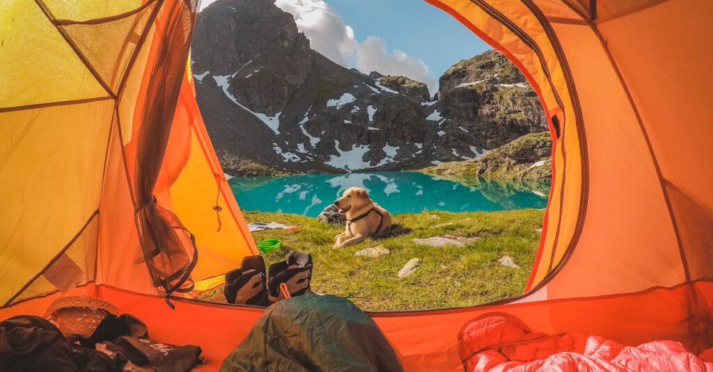 犬とキャンプしている風景