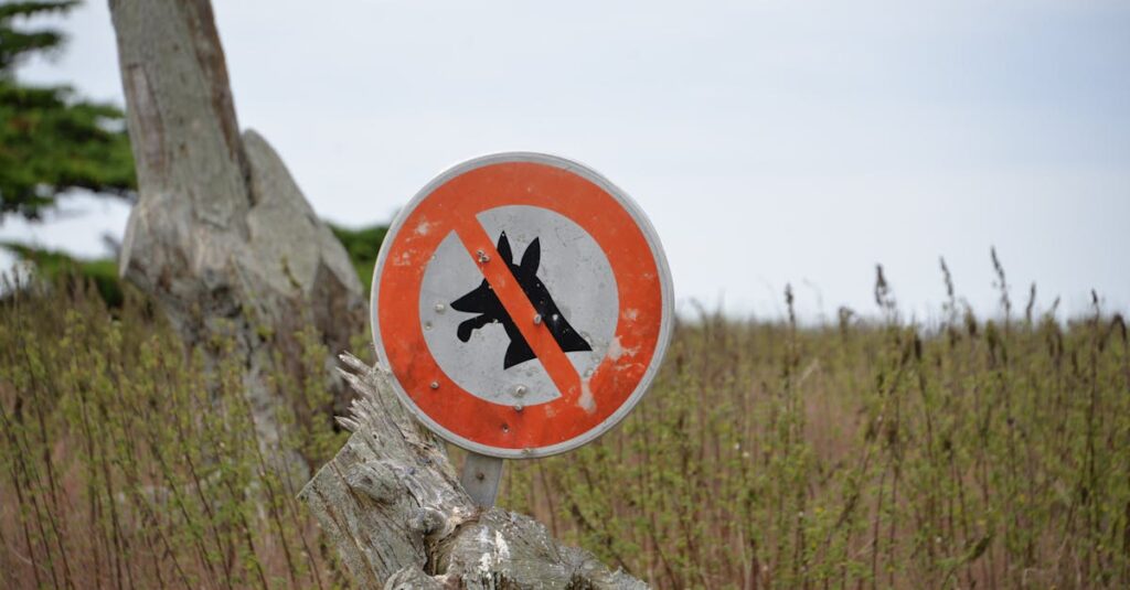 犬連れキャンプで守るべき三大マナーを示すシーン、安全で快適なアウトドアの雰囲気