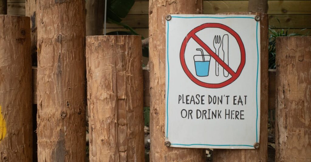 中学生の子供が焚き火や夜の活動を行う際の安全確認をする場面