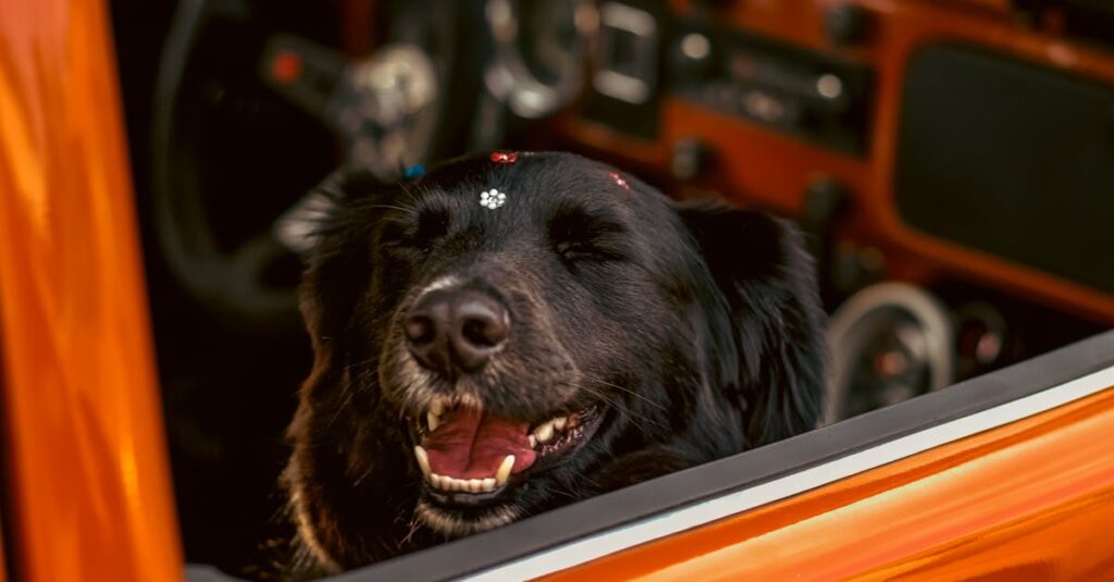 車のそばでキャンプする犬連れ家族の風景
