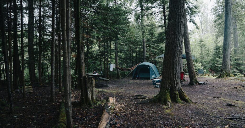 タープやマットで工夫された雨の日のキャンプ場で楽しむ家族の様子