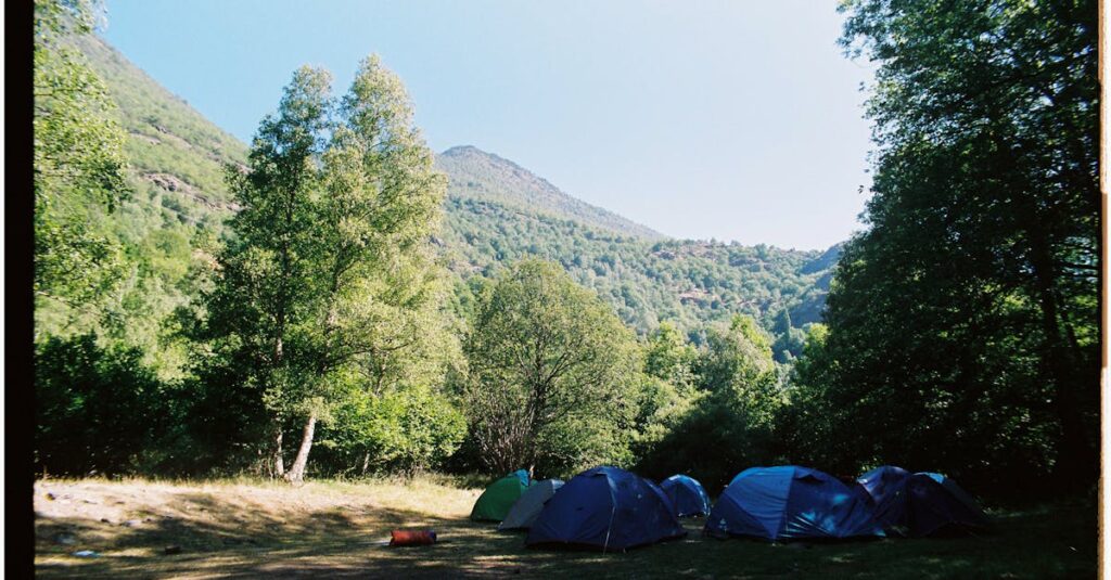 区画ごとに木で仕切られたプライベート感のあるキャンプサイト