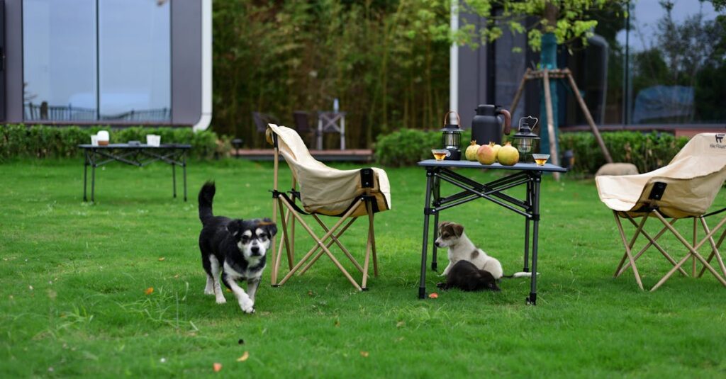 犬連れキャンプで初心者が直面する失敗とその対処法を示すイラスト