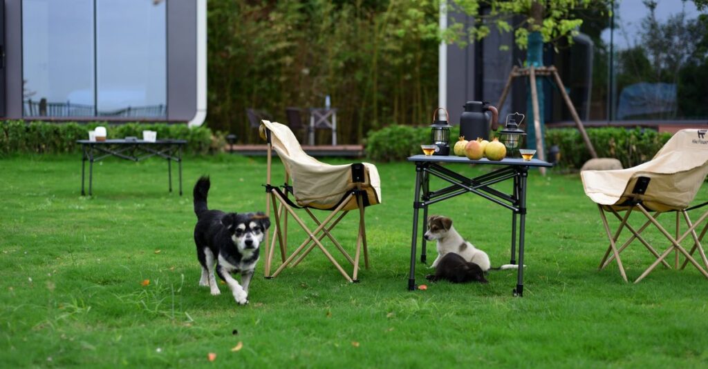 愛犬と自然の中で楽しむ犬連れキャンプの風景、他のキャンパーとの共存を意識したレイアウト