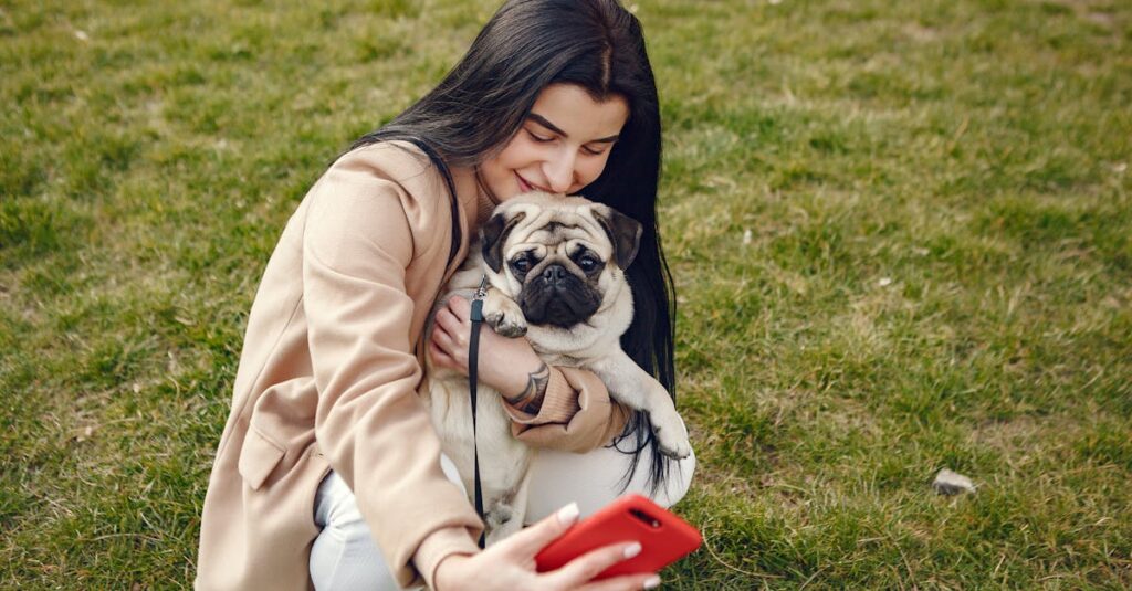 SNSに投稿された犬とのキャンプの写真やコメント画面のイメージ