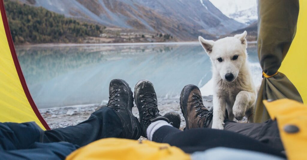 ペット料金の説明が掲示されたキャンプ場の受付看板