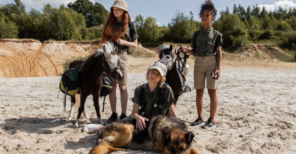 夏と冬のキャンプに対応した犬用装備の比較イメージ