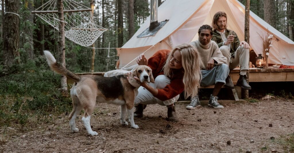 SNSに投稿された犬とのキャンプの写真やコメント画面のイメージ