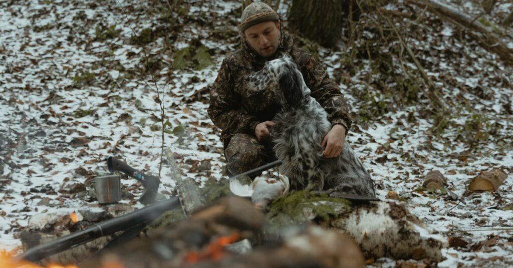 夏と冬のキャンプに対応した犬用装備の比較イメージ