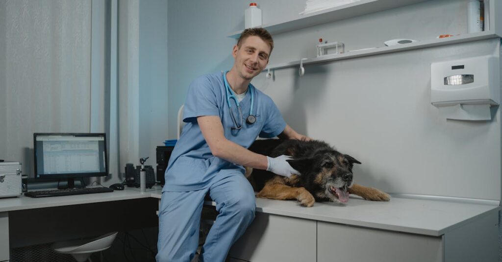 キャンプ前に健康チェックを受ける犬と獣医の様子