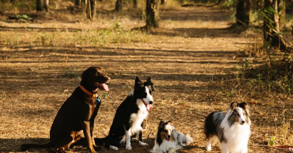 犬のためにレイアウトや環境に配慮された快適なキャンプサイトの様子、犬が安心して過ごす姿