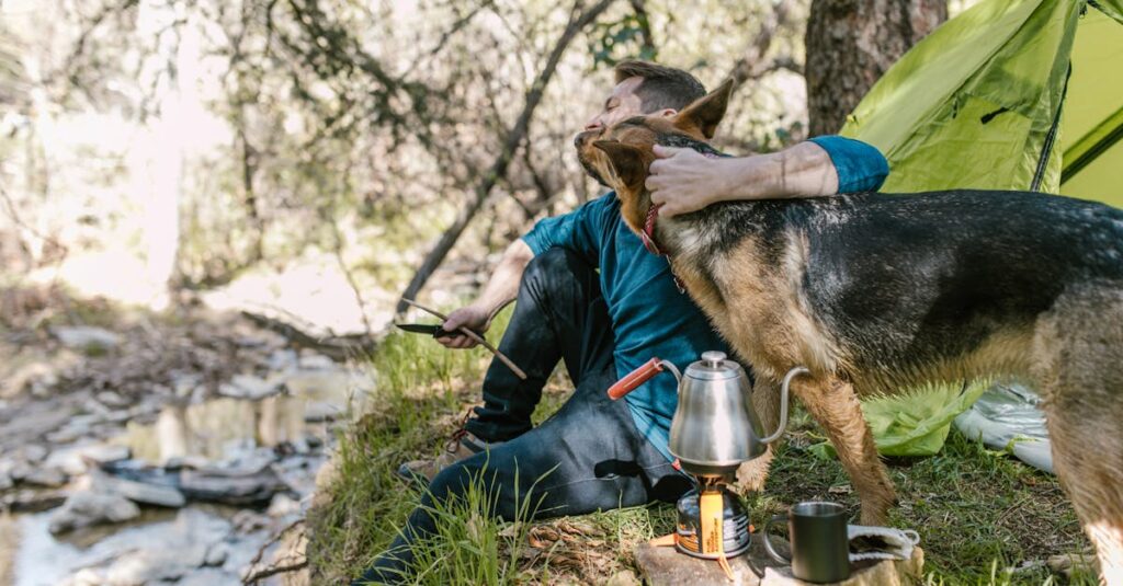犬のためにレイアウトや環境に配慮された快適なキャンプサイトの様子、犬が安心して過ごす姿