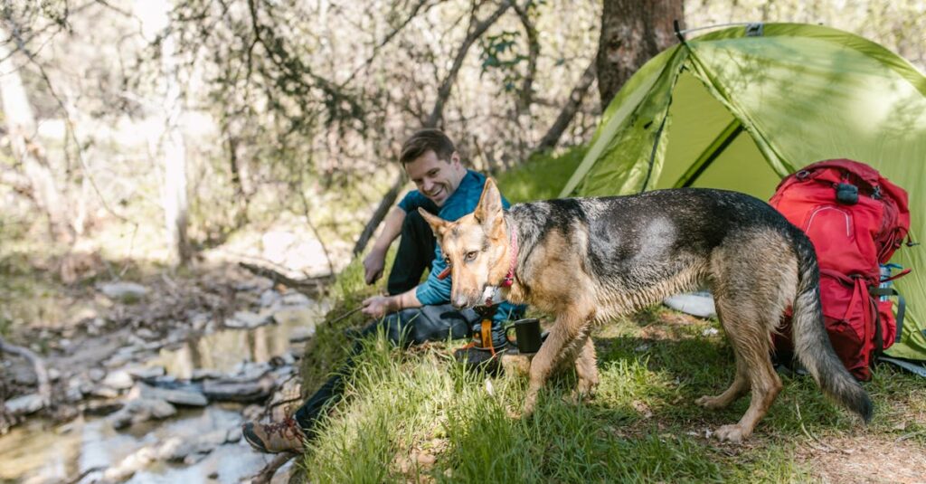 飼い主と犬が静かなキャンプ場で心地よく過ごす様子、マナーを守って共に楽しむ姿