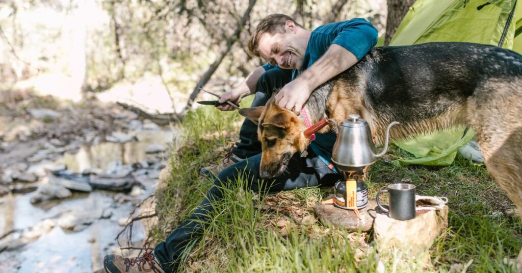 犬連れキャンプで守るべき三大マナーを示すシーン、安全で快適なアウトドアの雰囲気