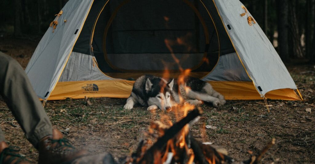 焚き火のそばでリラックスする犬と飼い主の夜のキャンプシーン
