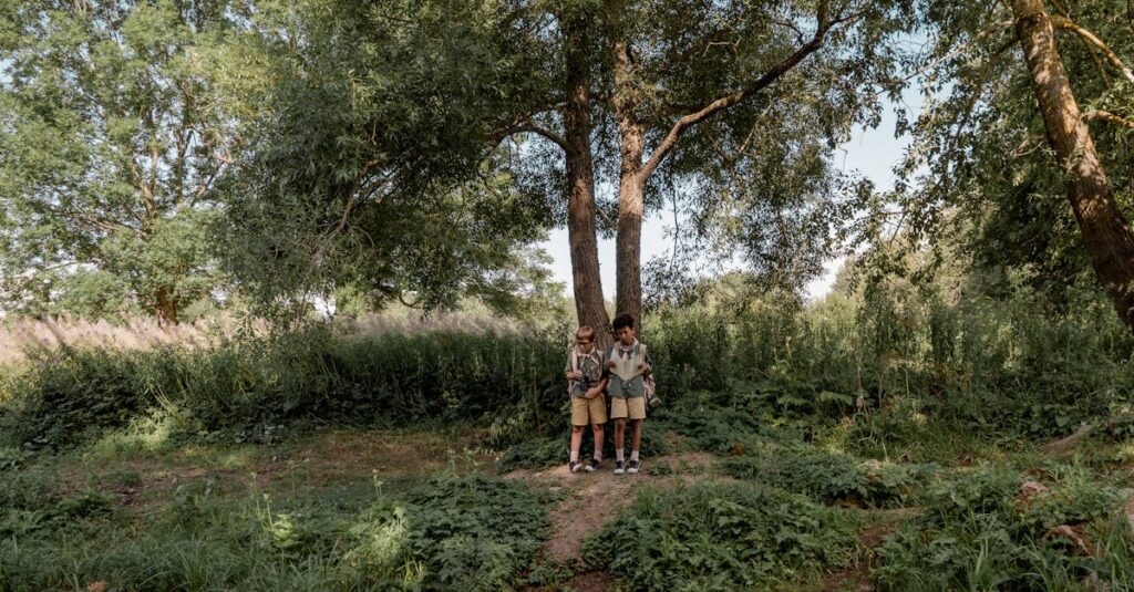 キャンプ場のツリークライミングで木に登って楽しむ子供の姿