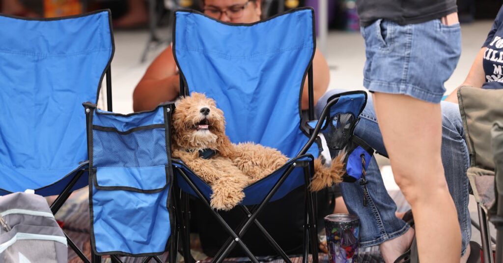 SNSに投稿された犬とのキャンプの写真やコメント画面のイメージ