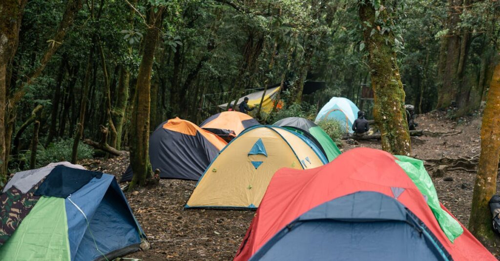 初心者でも安心できる設備が整ったキャンプ場の風景