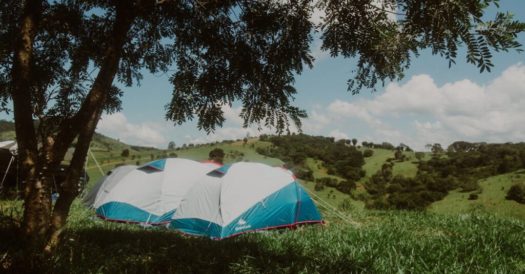 初心者でも安心できる設備が整ったキャンプ場の風景