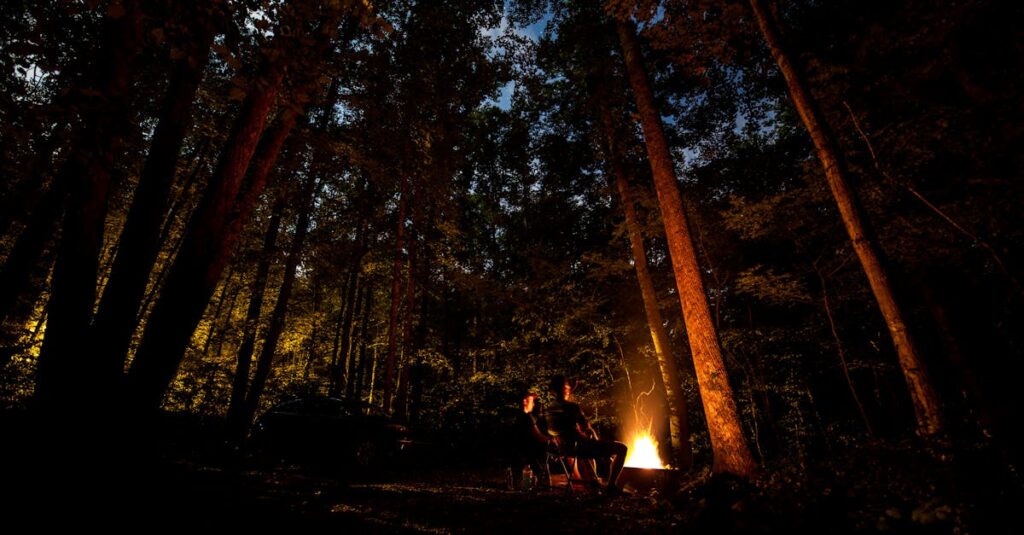 初心者がキャンプ用コットを選ぶ際のポイントや注意点をイラスト付きで説明する図。